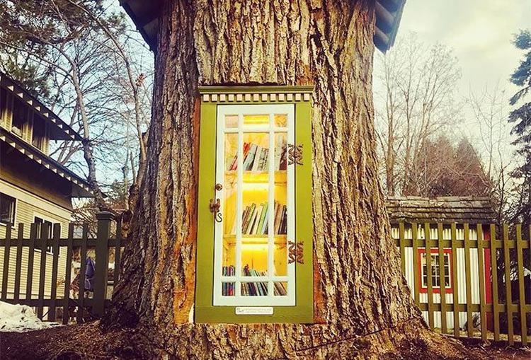 dead tree little free library sharalee armitage howard 29 700x475