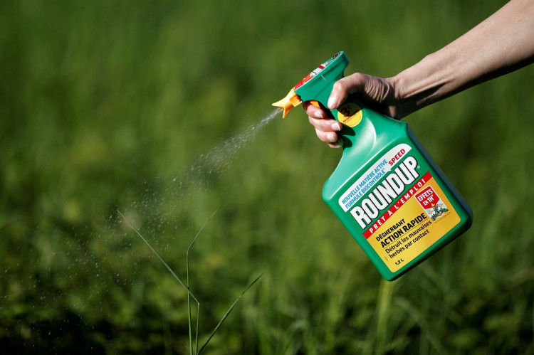 monsanto roundup lawsuit