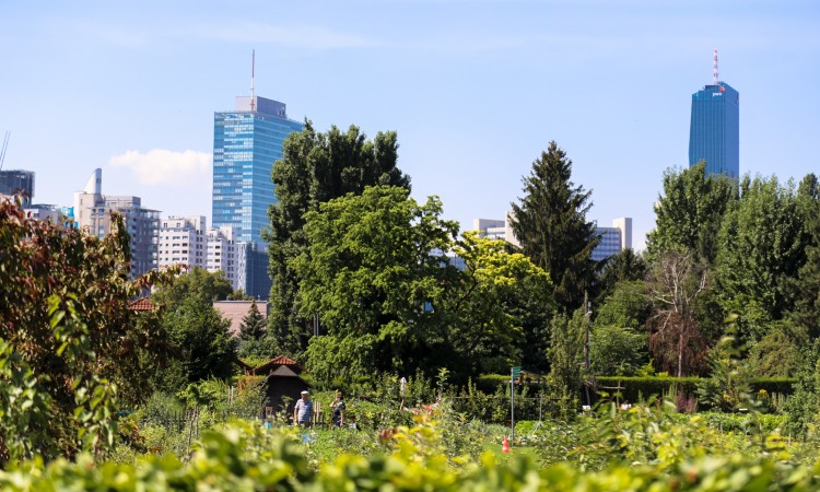 schulgarten kagran Copyright StadtwienmarketingChristian Fürthner