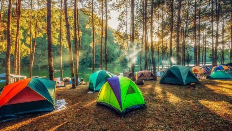 765 430 53e6bbe73996138807ca9ee0f43d0743