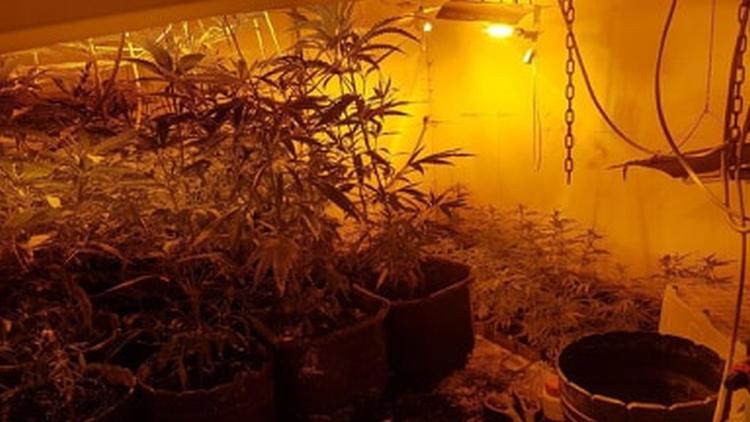 67419984 346830332921114 4309121060076257280 n