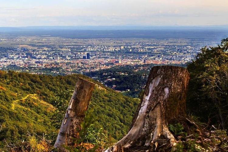 carousel 2017072705wlFs