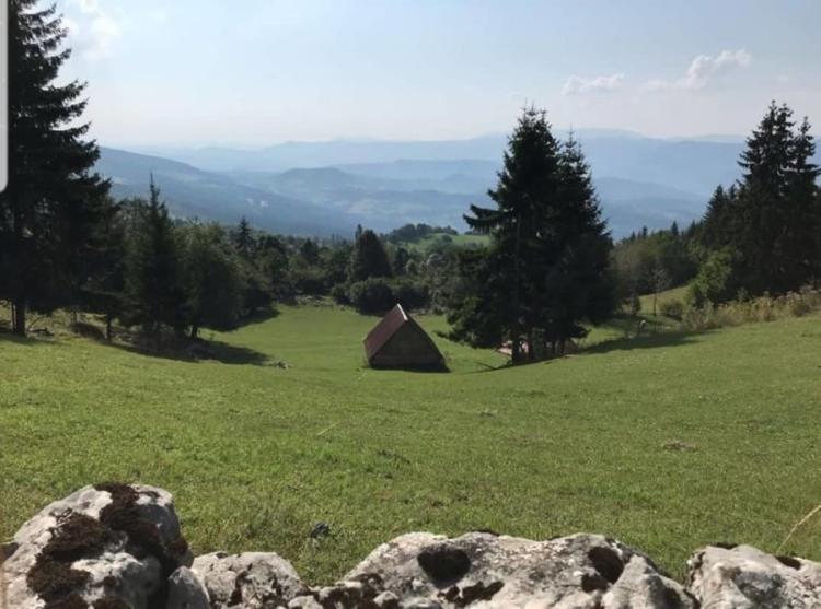 85034672 202689767793742 2802097648151035904 n 1 900x668