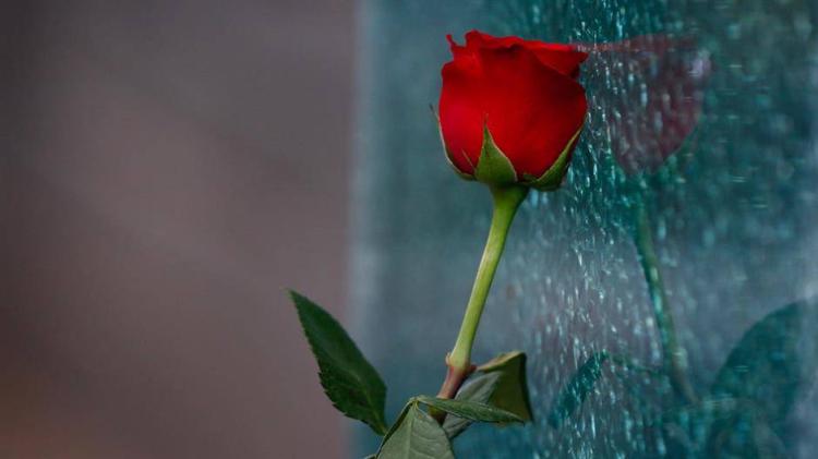 Markale