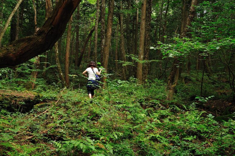 Zeleno more samoće: Priča o Aokigahari, japanskoj šumi samoubistava
