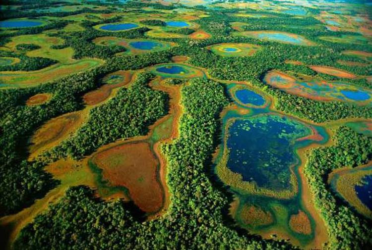 Pantanal – najveća močvara na svijetu