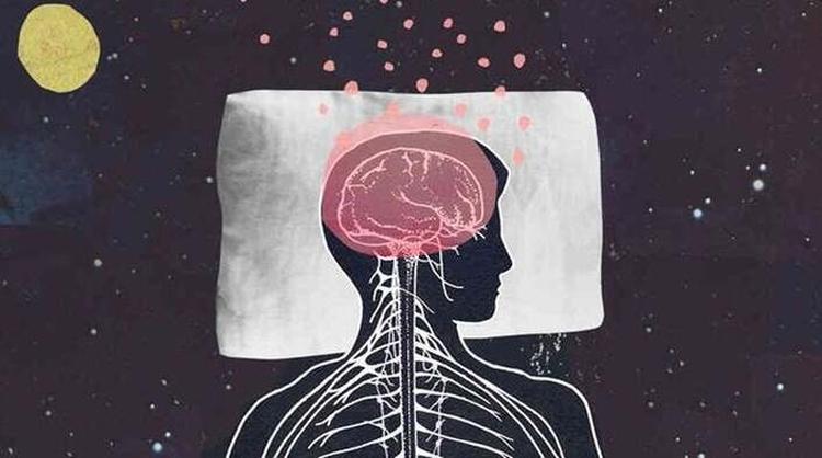 melatonin hormon sna i molekul mladosti 1