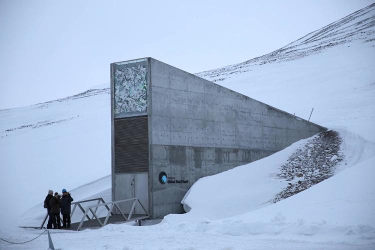 permafrost seed vault 1