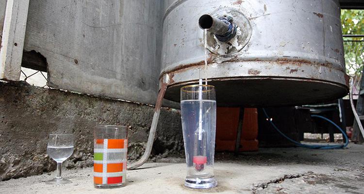 rakija proizvodnja bll