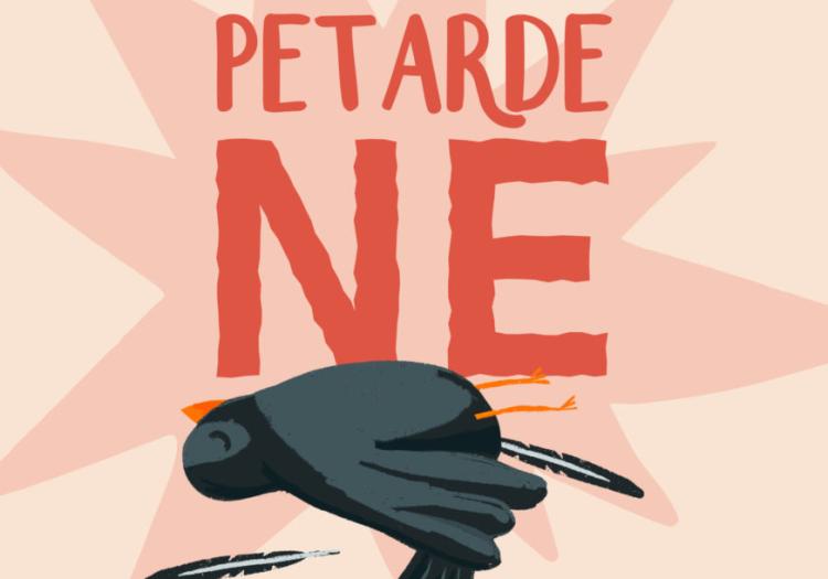Petarde Ne foto Play Team