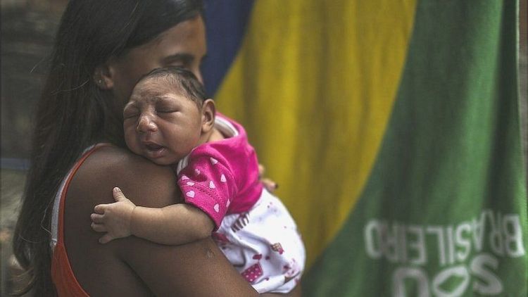 Zika virus Brazil foto EPA