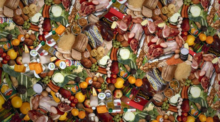 FoodWaste1 noLogo