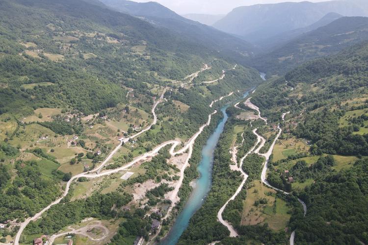 buk bijela foto NN