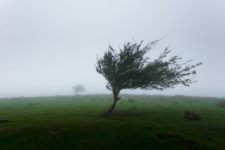 vjetar foto Khamkeo Vilaysing