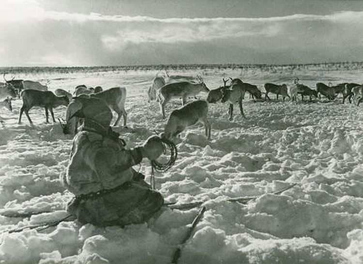 640px sami people north of arctic circle norway