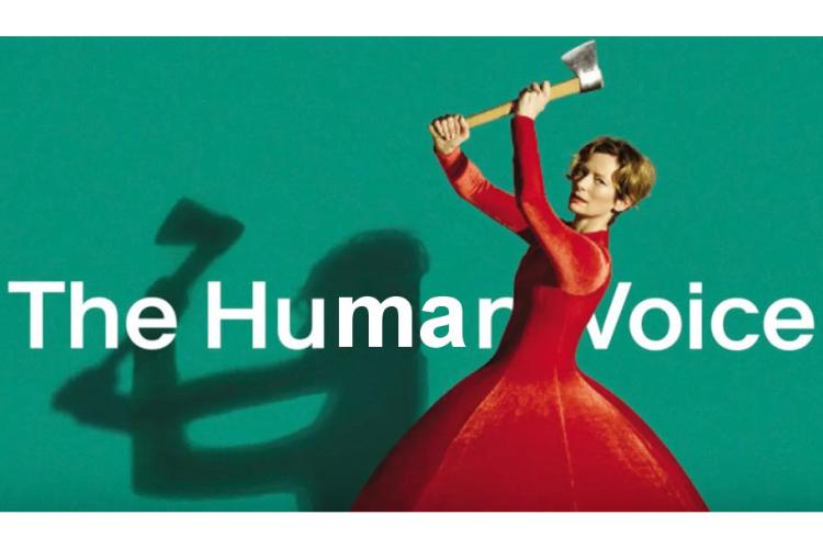 The human voice