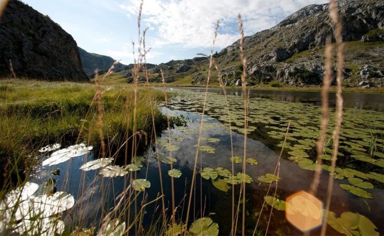 geologija np sutjeska 1024x630 1 1