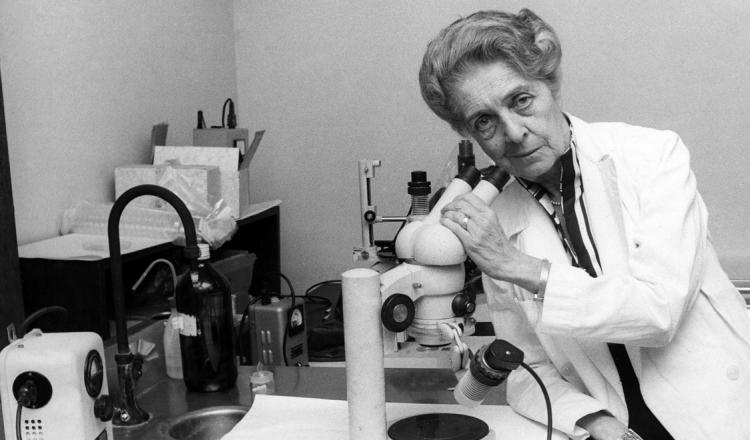 Rita levi montalcini italian neuroscientist