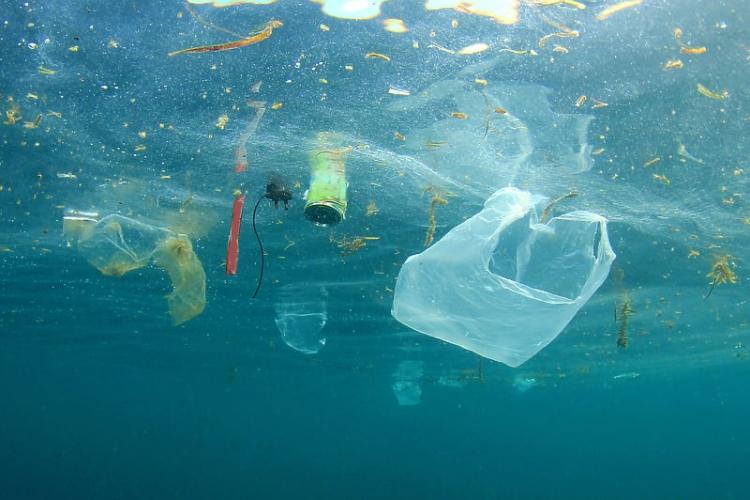 Morska bakterija “jede” plastiku koja se teško biološki razgrađuje