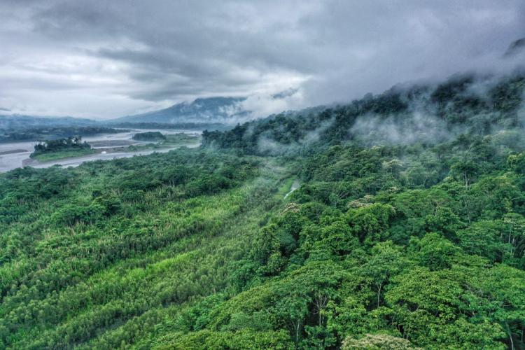 Usporena deforestacija brazilske regije Amazonije