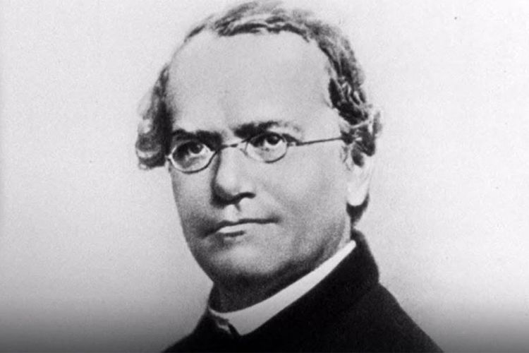 Gregor Mendel: Češki naučnik – osnivač moderne nauke genetike