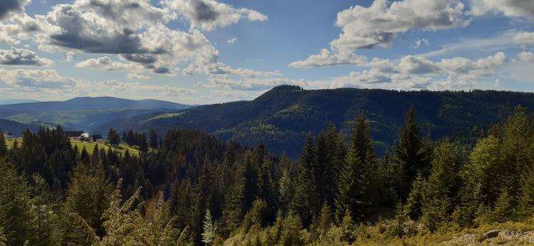 Kakvo nas vrijeme očekuje u novembru i tokom zime