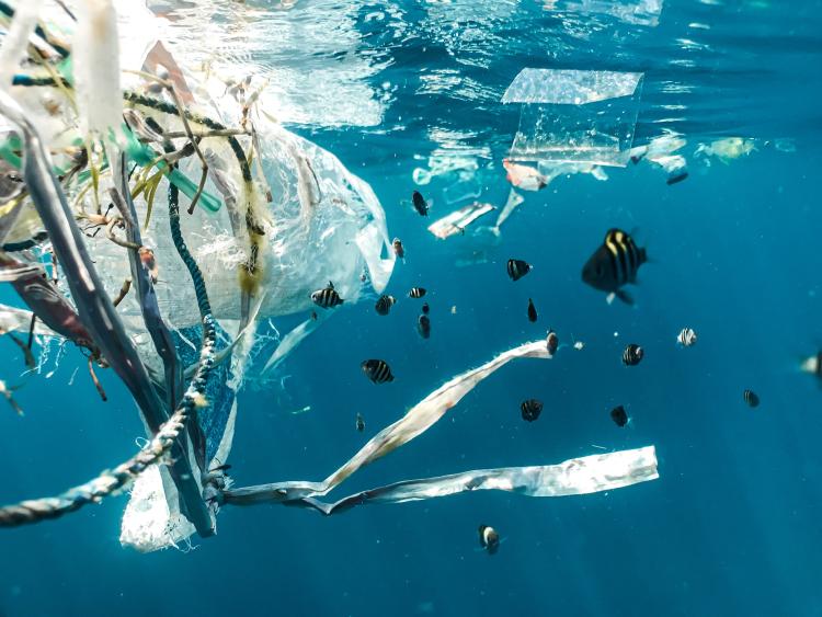 Naučnici izmislili biorazgradivi sunđer koji upija i do 90% mikroplastike u pijaćoj i morskoj vodi