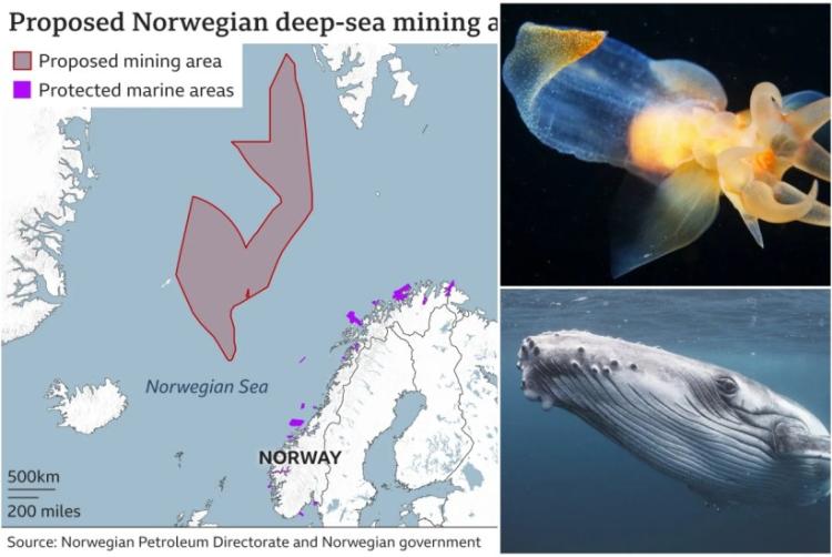 Norveška će prva na svijetu odobriti rudarenje okeanskog dna