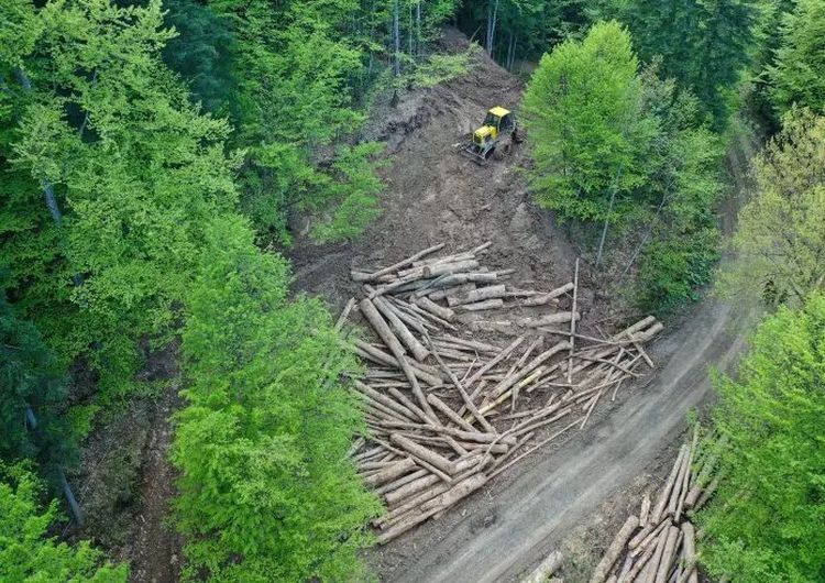 SJEČA ŠUME NA ZAŠTIĆENOM PEJZAŽU KONJUH: ‘Na strani Kladnja nema rampe, video nadzora, niti nadzornici kontrolišu kamione’