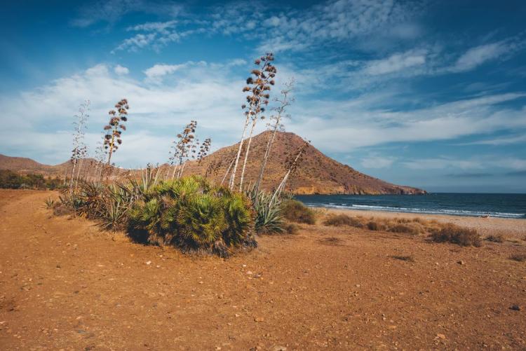 UN oglasio ‘crvenu uzbunu’ zbog klimatskih promjena