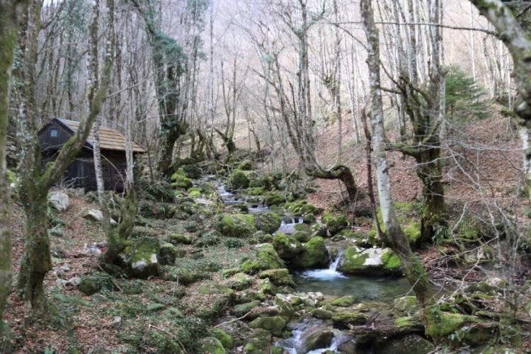 Rekordan broj brana i drugih prepreka je uklonjen u Evropi prošle godine