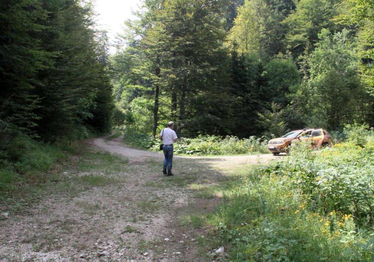 Zbog bitke za tendere, vlasnici privatnih šuma u RS će ostati bez ogreva