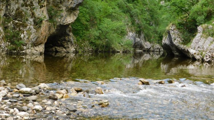 Zaštitom još 1,2% svjetske površine spriječilo bi većinu izumiranja svjetskih vrsta