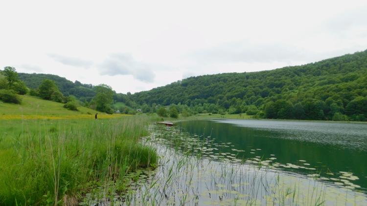 Svjetski dan zaštite životne sredine: Naša zemlja, naša budućnost