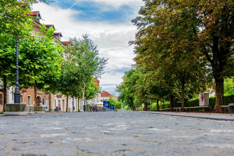 Važnost zelenila za smanjenje toplinskih otoka