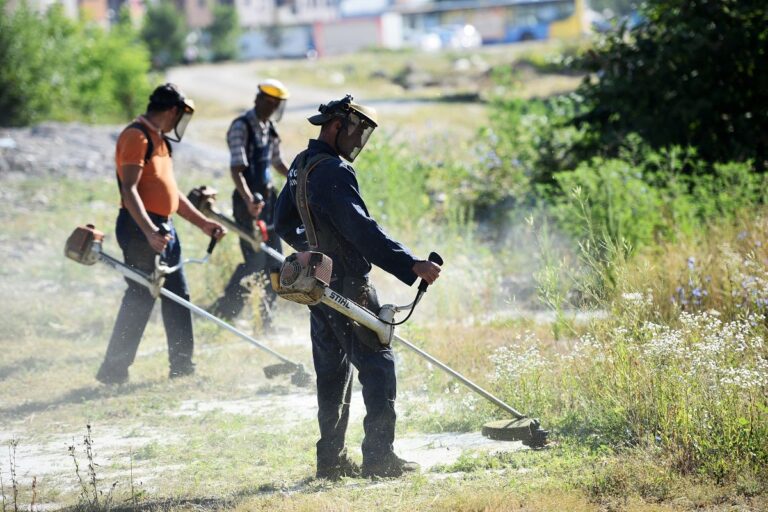 U toku košenje ambrozije u Banjaluci