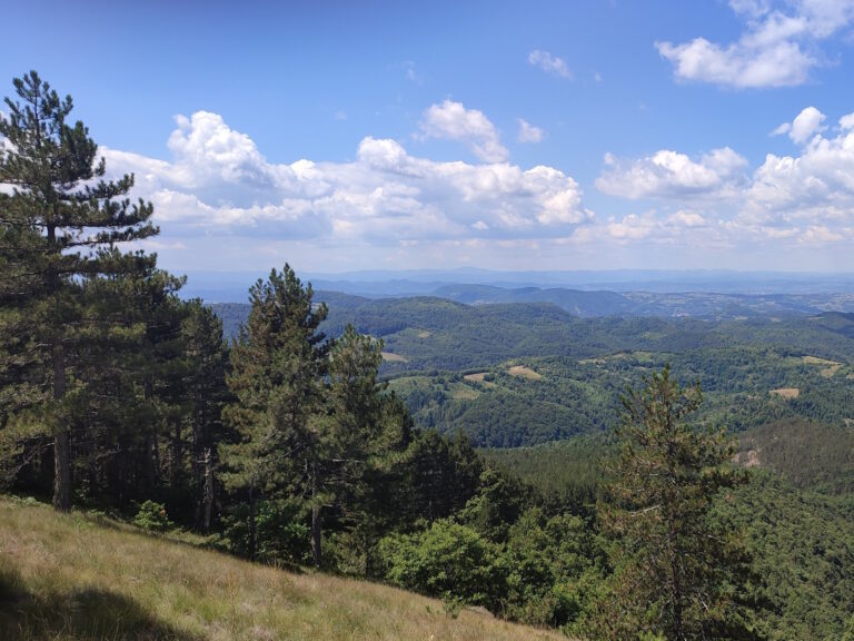 Ozren – vrijedno prirodno područje i utočište ugroženih vrsta, zaštita je neophodna