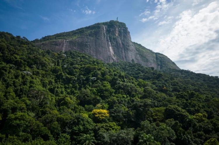 Neuhvatljivo planinsko stvorenje pronađeno u Brazilu