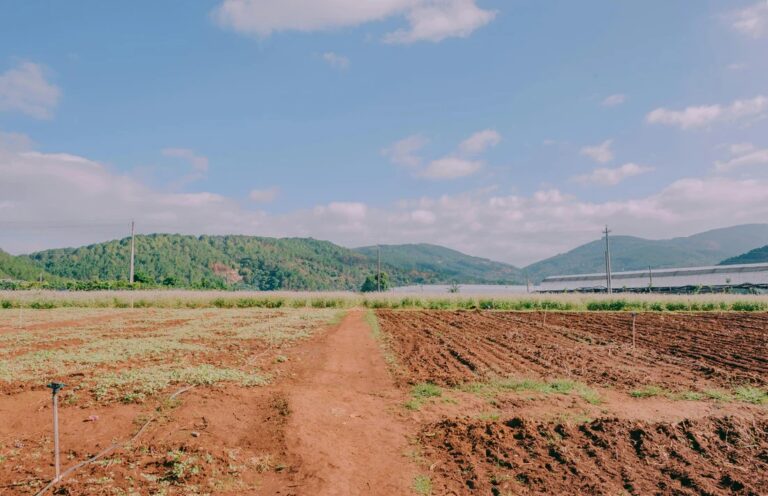 Klimatske promjene podstiču aktivnost otrovnih metala u zemljištu