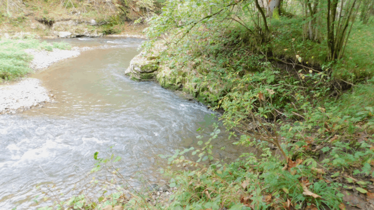 Aarhus centar upozorava na potrebu donošenja novog zakona o zaštiti prirode u Federaciji BiH
