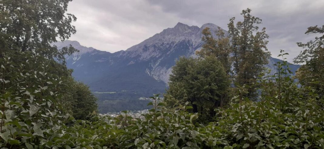 Alpi Impuls