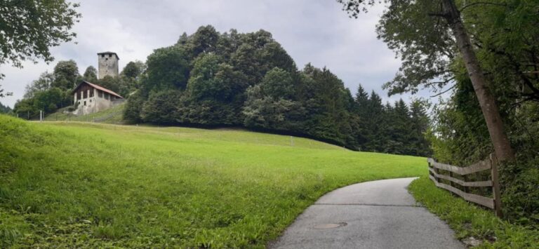 Evropska agencija za životnu sredinu: Evropa treba da pojača napore da spase svoju prirodu