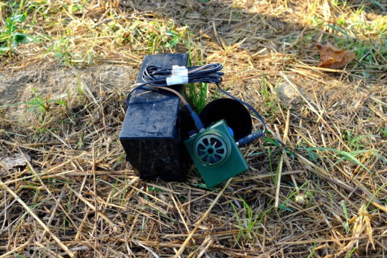 Niko nije iznad zakona: Stop krivolovu – Basta bracconaggio!