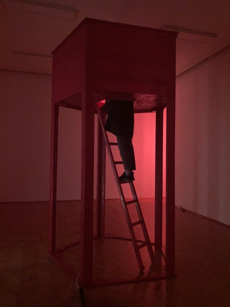 “BL ART” festival: Living In Interesting Times