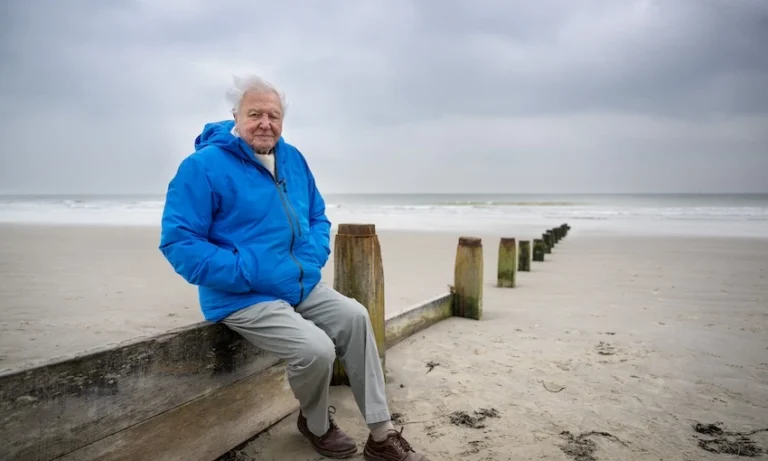 OCEAN WITH DAVID ATTENBOROUGH: Hitna molba u ime planete