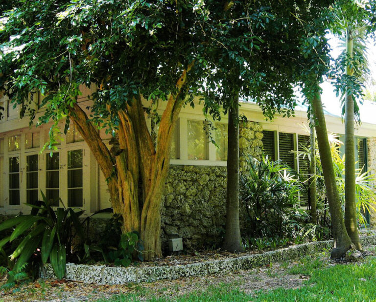 Drveće spašava živote: Kad bi ih posadili više, smanjili bi broj smrtnih slučajeva od toplotnih talasa