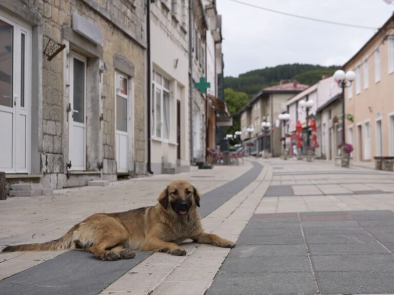 Nevesinje ima resurse – vlast nema volju ni ideje (VIDEO)