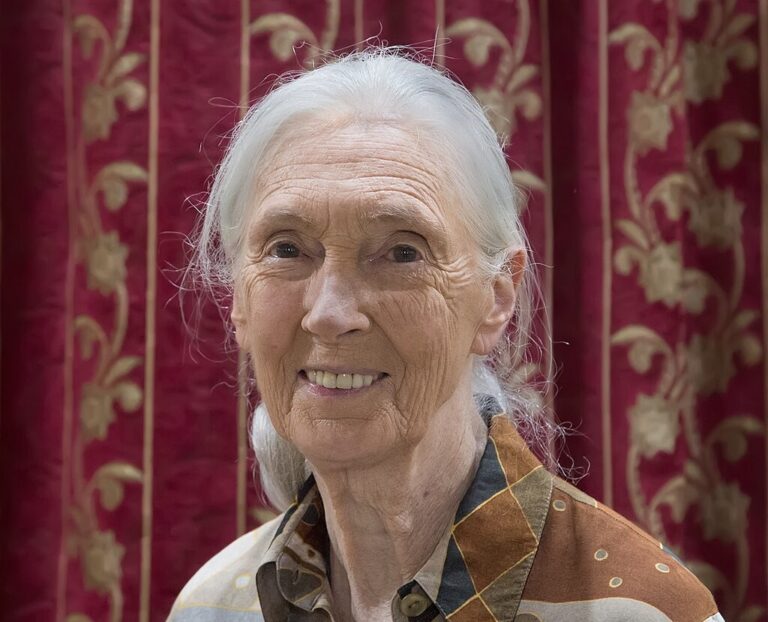 Posljednja poruka Jane Goodall: Zdravlje planete trebalo bi da bude u centru svakog ekonomskog razgovora