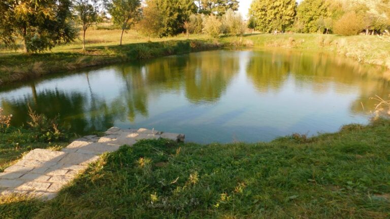 Novi izvještaj: Preko 80% zaštićenih prirodnih područja u Evropskoj uniji je u lošem stanju