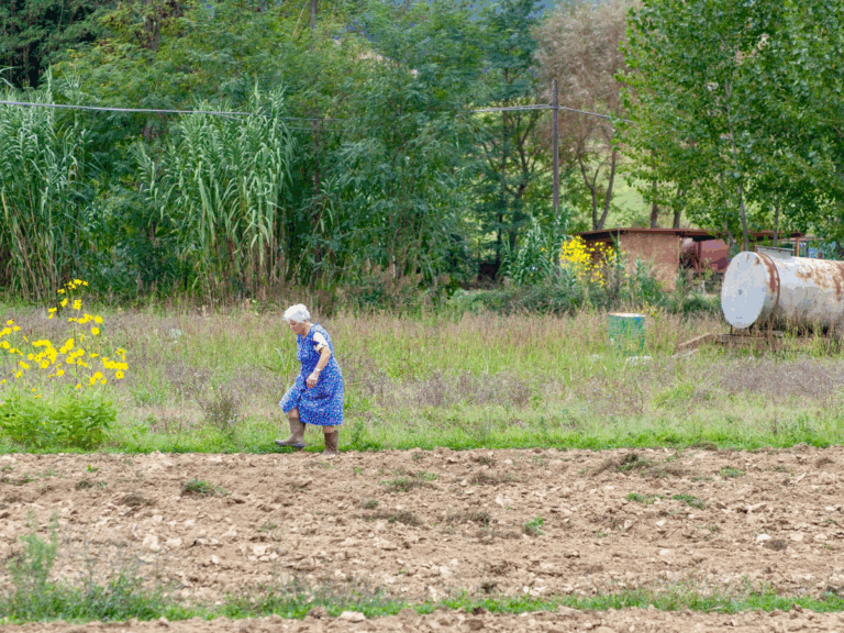 Dan žena sa sela – odgoj djece, kuća, gazdinstvo, sve je na njihovim leđima